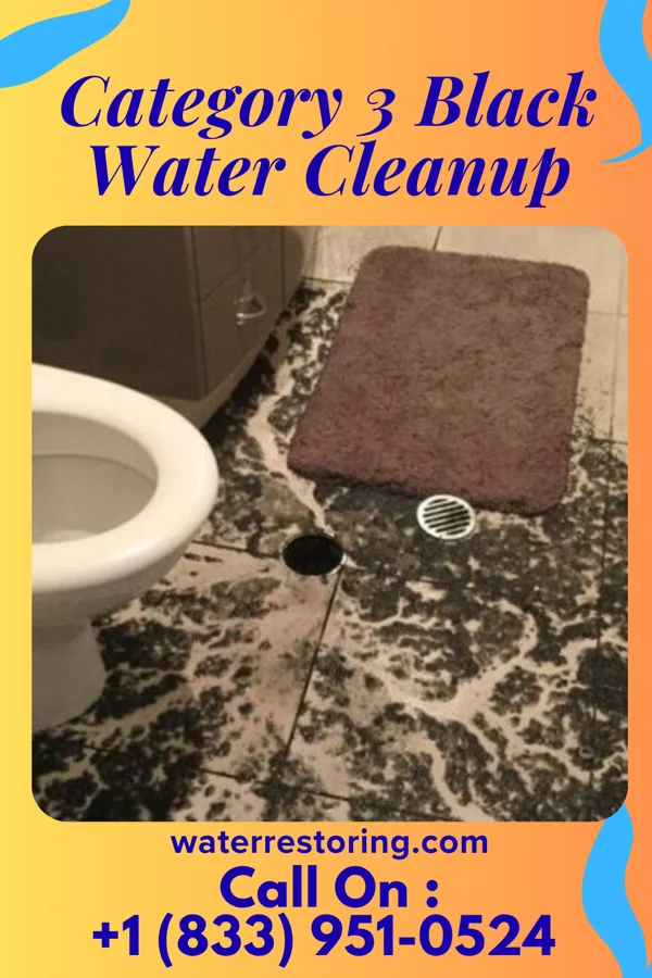 Category 3 Black Water Cleanup in Bridgeville, PA