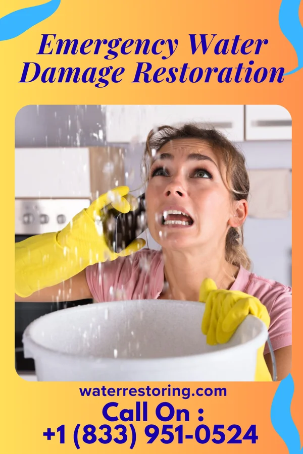 Emergency Water Damage Restoration in Bridgeville, PA