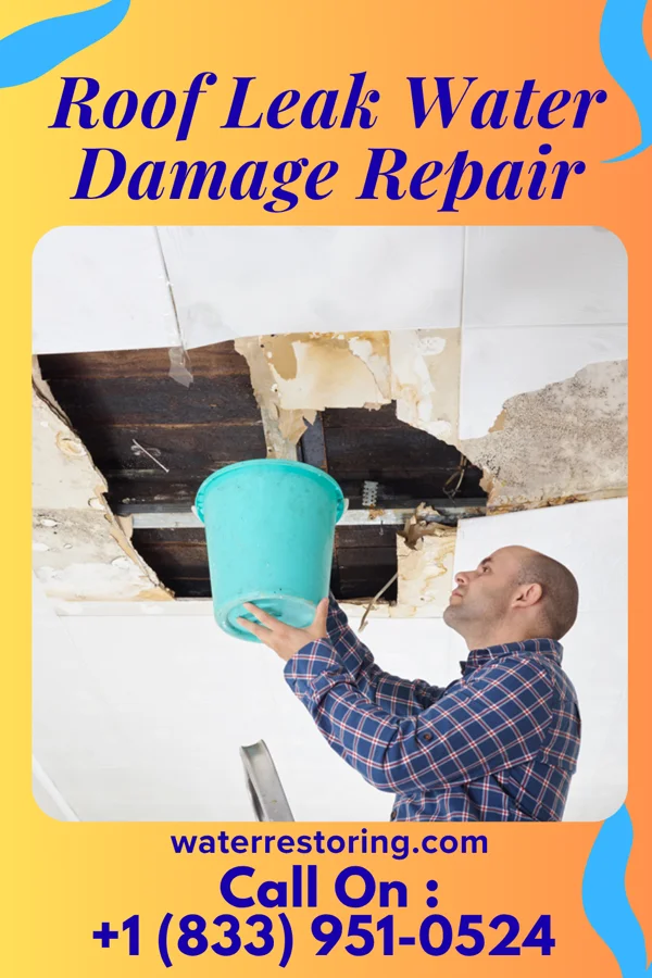 Roof Leak Water Damage Repair in Bridgeville, PA