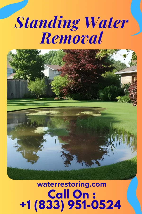 Standing Water Removal in Bridgeville, PA